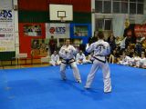 Pokaz sztuki walki Teakwondo, 