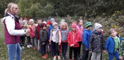 „Wielki rwetes dziś u Basi, bo kapustę Basia kwasi”, 