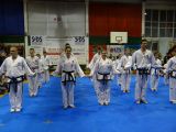 Pokaz sztuki walki Teakwondo, 