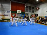 Pokaz sztuki walki Teakwondo, 