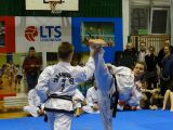 Pokaz sztuki walki Teakwondo, 