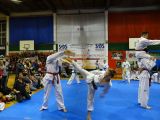 Pokaz sztuki walki Teakwondo, 