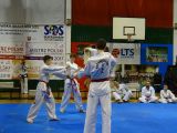 Pokaz sztuki walki Teakwondo, 