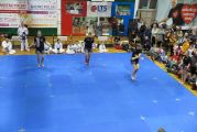 Pokaz sztuki walki Teakwondo, 