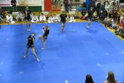 Pokaz sztuki walki Teakwondo, 