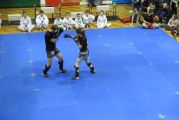 Pokaz sztuki walki Teakwondo, 