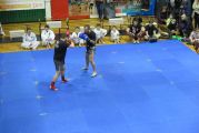 Pokaz sztuki walki Teakwondo, 