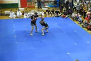 Pokaz sztuki walki Teakwondo, 