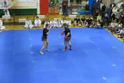 Pokaz sztuki walki Teakwondo, 