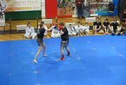 Pokaz sztuki walki Teakwondo, 