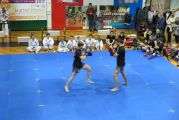 Pokaz sztuki walki Teakwondo, 