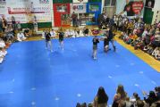 Pokaz sztuki walki Teakwondo, 