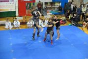 Pokaz sztuki walki Teakwondo, 