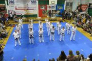 Pokaz sztuki walki Teakwondo, 