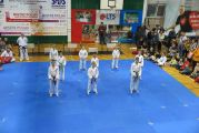 Pokaz sztuki walki Teakwondo, 