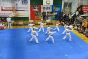 Pokaz sztuki walki Teakwondo, 