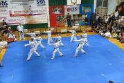 Pokaz sztuki walki Teakwondo, 