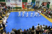 Pokaz sztuki walki Teakwondo, 