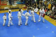 Pokaz sztuki walki Teakwondo, 