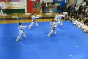 Pokaz sztuki walki Teakwondo, 