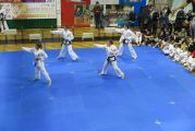 Pokaz sztuki walki Teakwondo, 