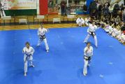 Pokaz sztuki walki Teakwondo, 