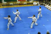 Pokaz sztuki walki Teakwondo, 