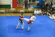 Pokaz sztuki walki Teakwondo, 