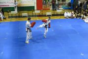 Pokaz sztuki walki Teakwondo, 