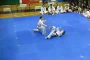 Pokaz sztuki walki Teakwondo, 