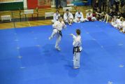 Pokaz sztuki walki Teakwondo, 