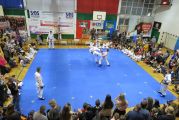 Pokaz sztuki walki Teakwondo, 