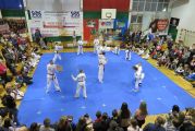 Pokaz sztuki walki Teakwondo, 