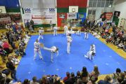 Pokaz sztuki walki Teakwondo, 