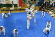 Pokaz sztuki walki Teakwondo, 