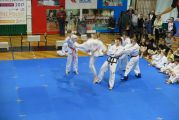 Pokaz sztuki walki Teakwondo, 