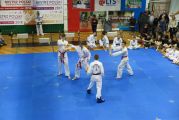 Pokaz sztuki walki Teakwondo, 