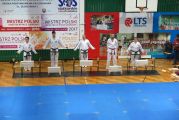 Pokaz sztuki walki Teakwondo, 