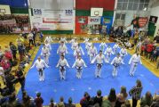 Pokaz sztuki walki Teakwondo, 