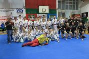 Pokaz sztuki walki Teakwondo, 