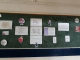 Dzień Edukacji Narodowej, fot. Jadwiga Świderska