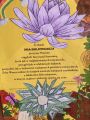 „Biblioteka – świat w jednym miejscu”, 