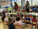 „Zwierzęta Afryki”, 