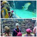 Wycieczka do ZOO w Łodzi klasy 2b i 2d, 