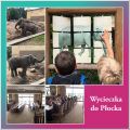 Wycieczka do Płocka, 
