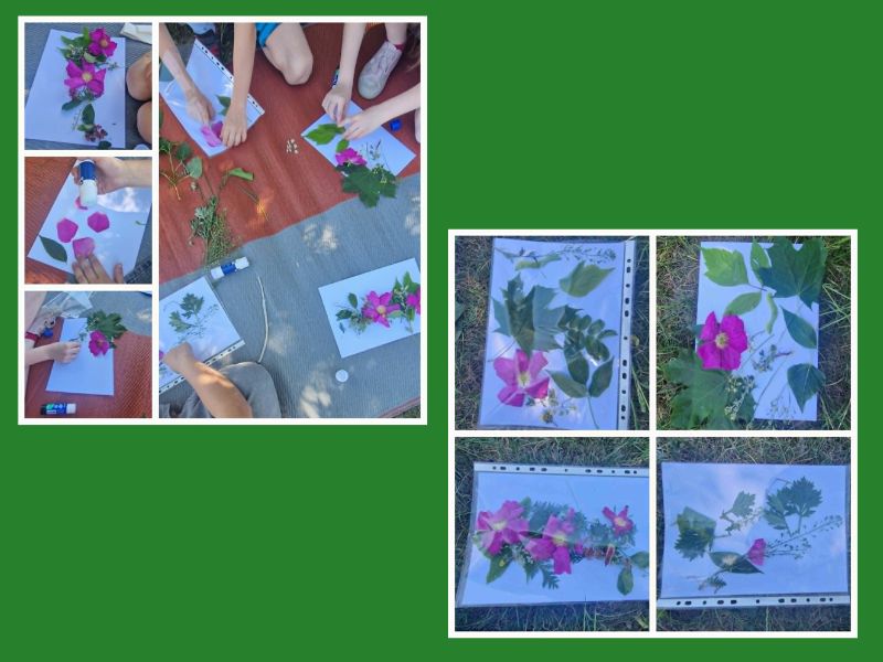 Ikona